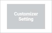 Customizer Setting